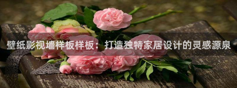 茄子在线视频